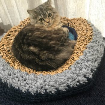 オシャレな北欧雑貨ソストレーネグレーネのカラフル毛糸で猫のベットをDIY♩